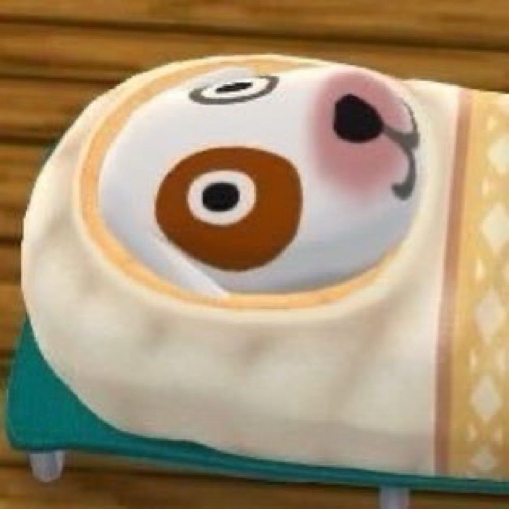 퐁
