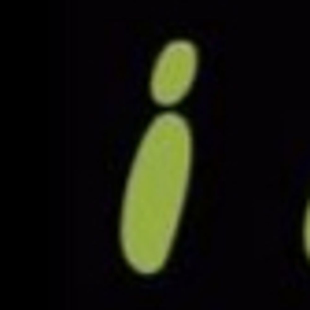 Idealog