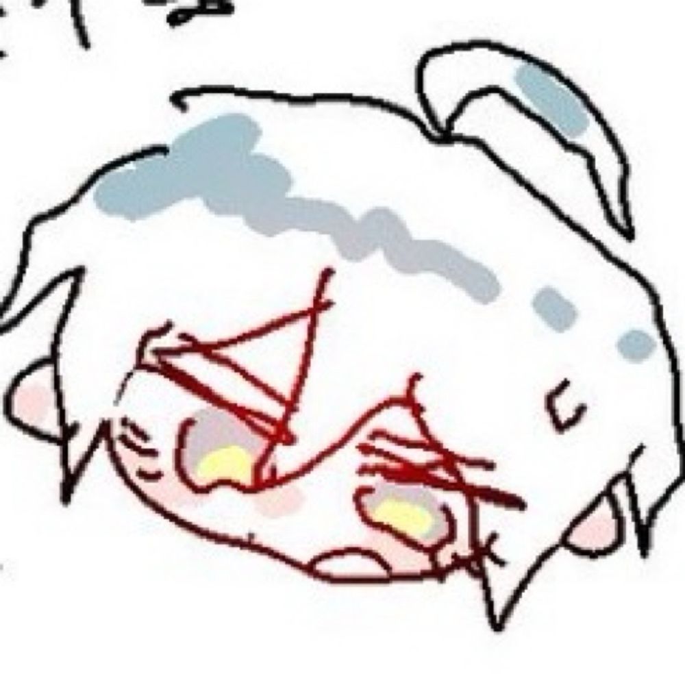 미미쨩