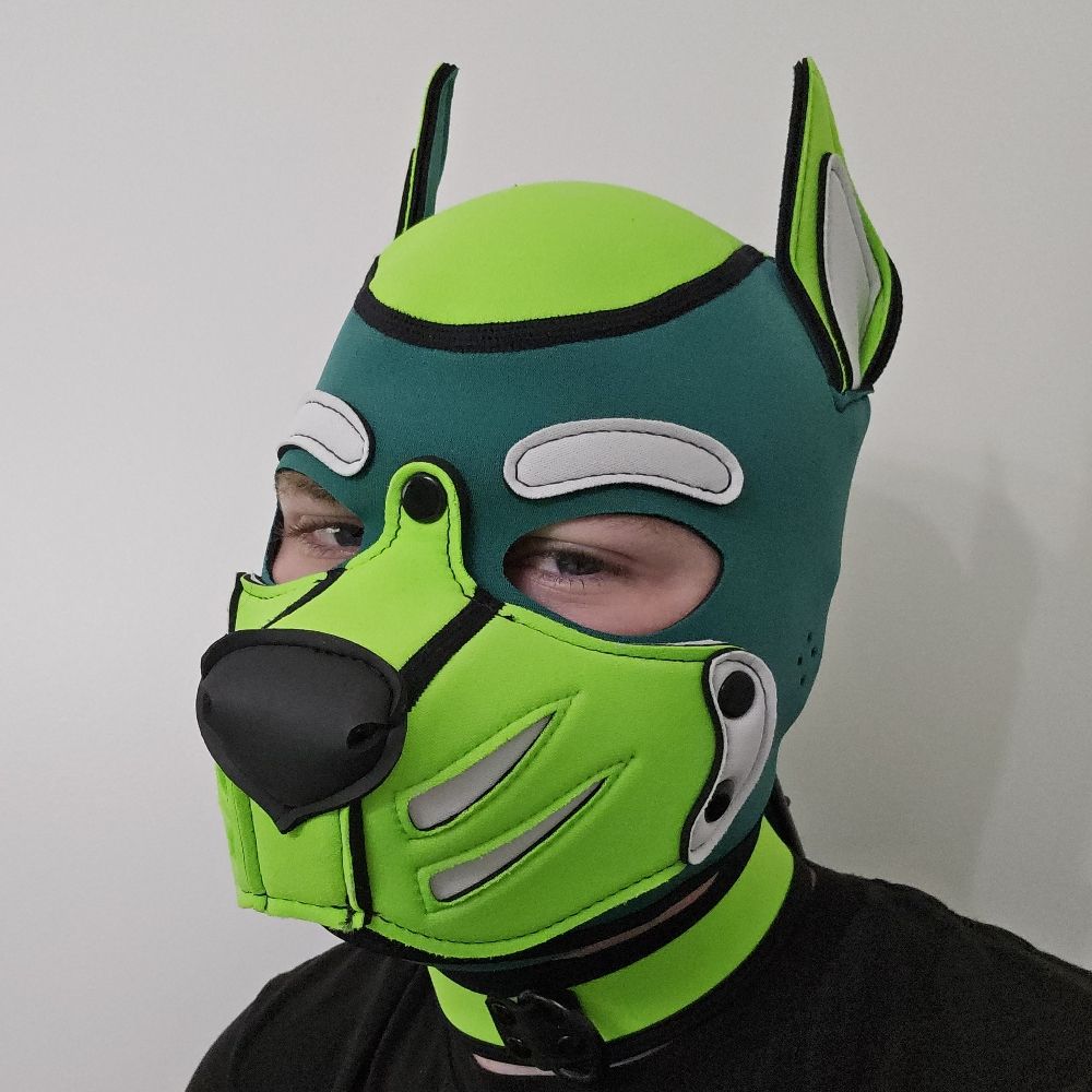 Pup Winter