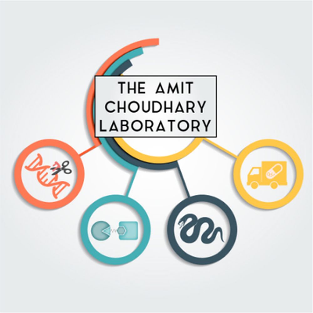 The Amit Choudhary Lab