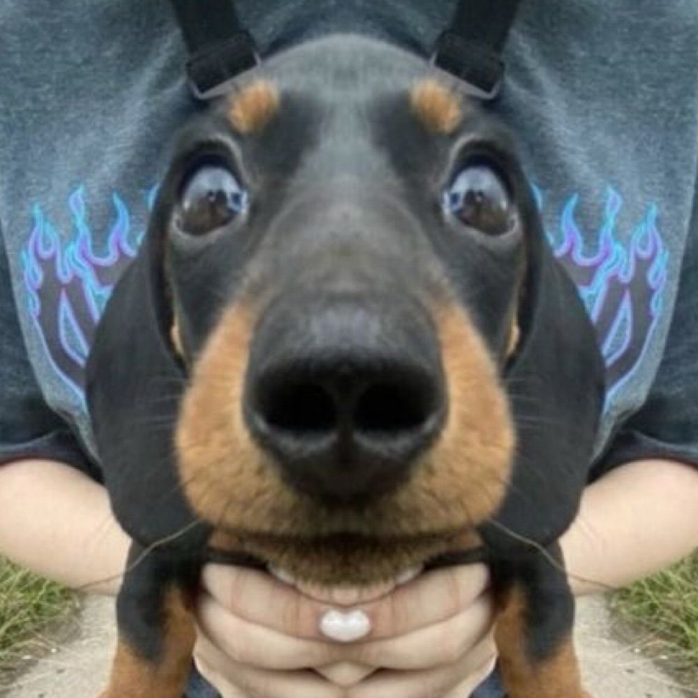 pauloxcx