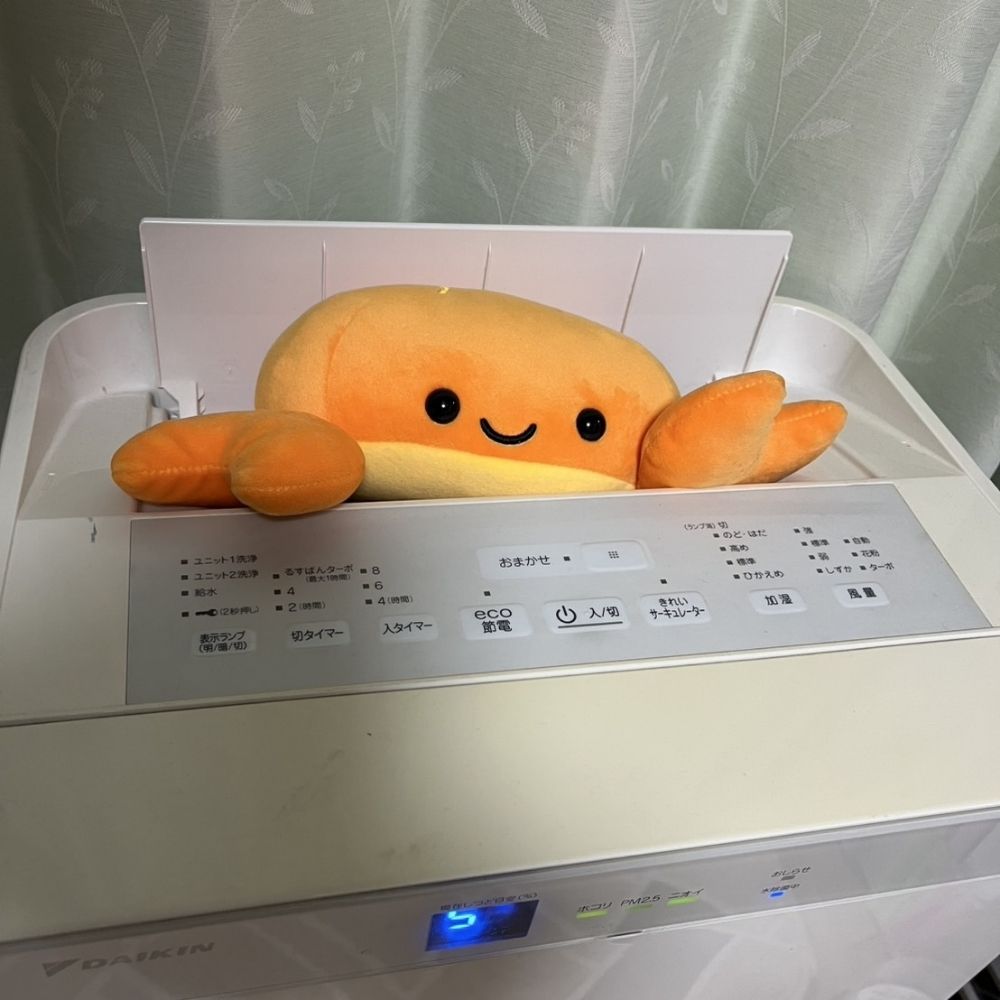 ゆきと🐾