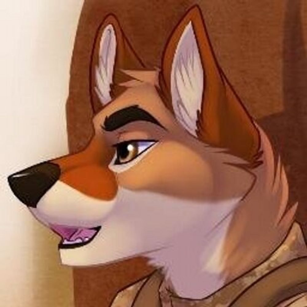 Canj Coyote