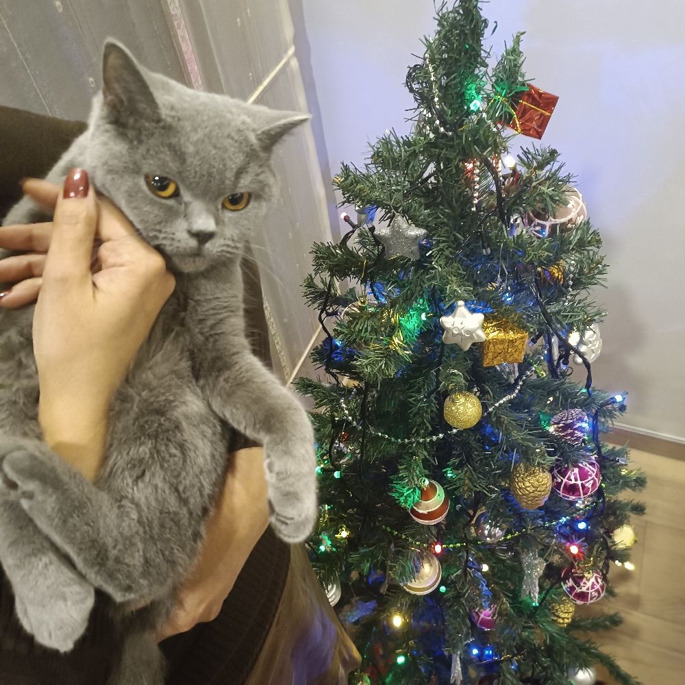 Luna