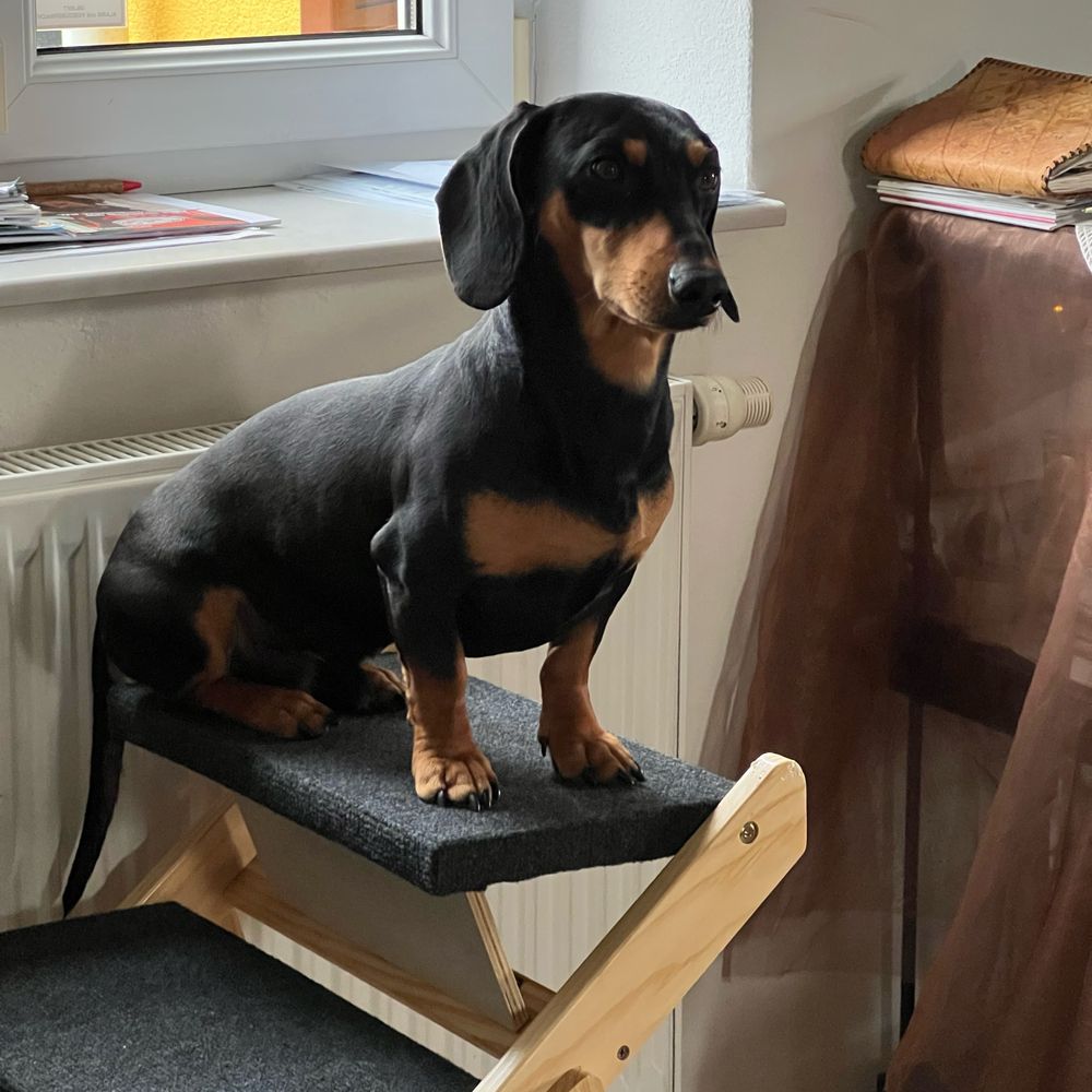 dipietro.bsky.social