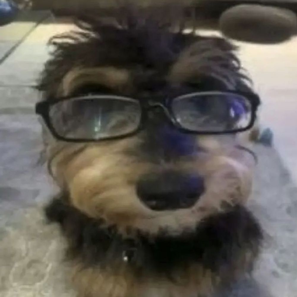 susan