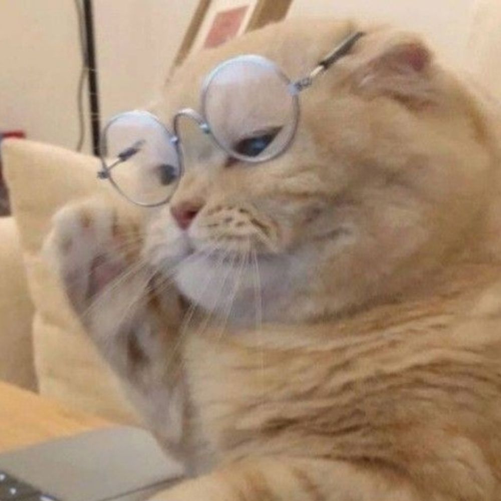 📖✍️🐱💦