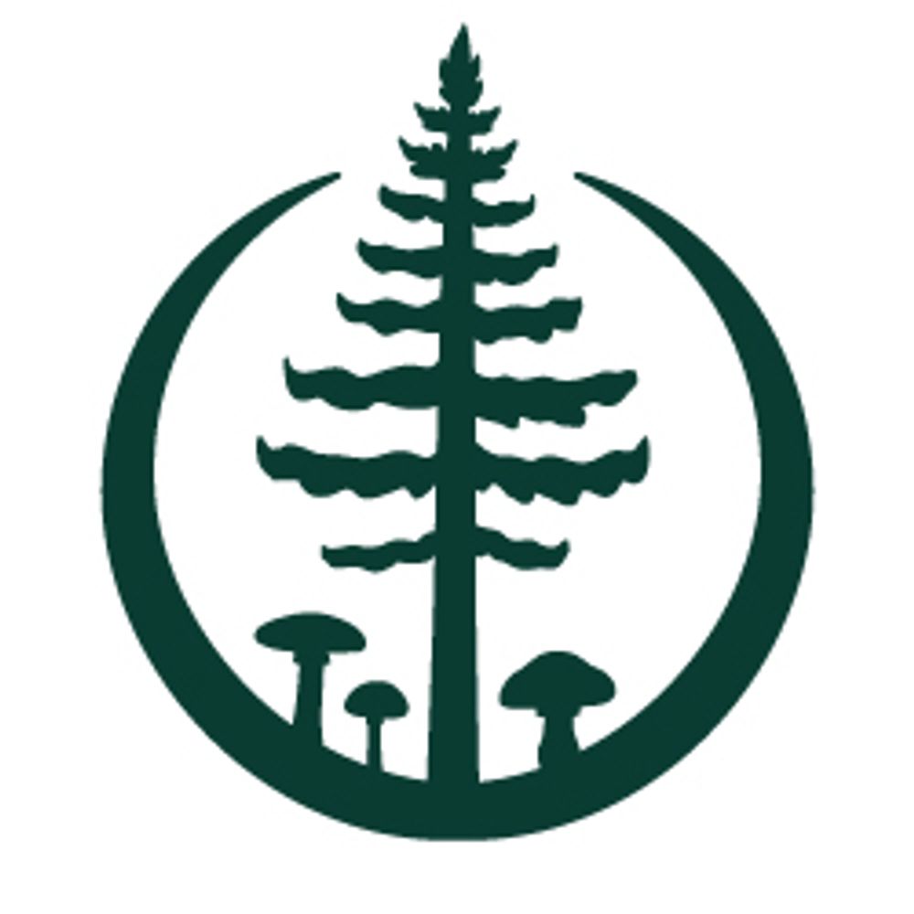 Branching Out Environmental Consulting