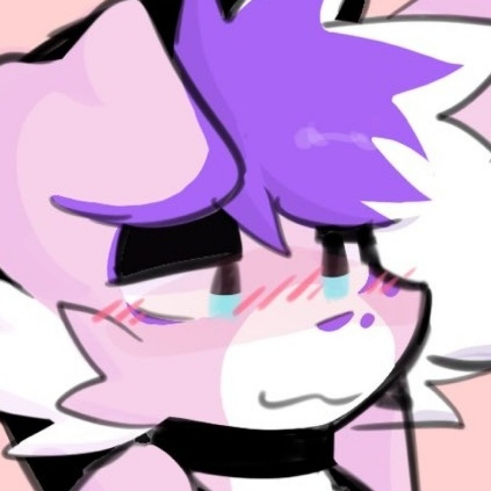 Setton 🍥 🔜 FWA