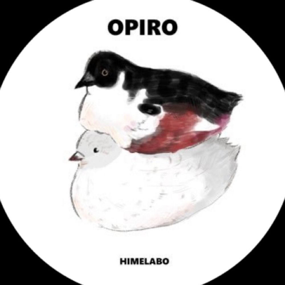 ひめうずら研究室 King quail laboratory