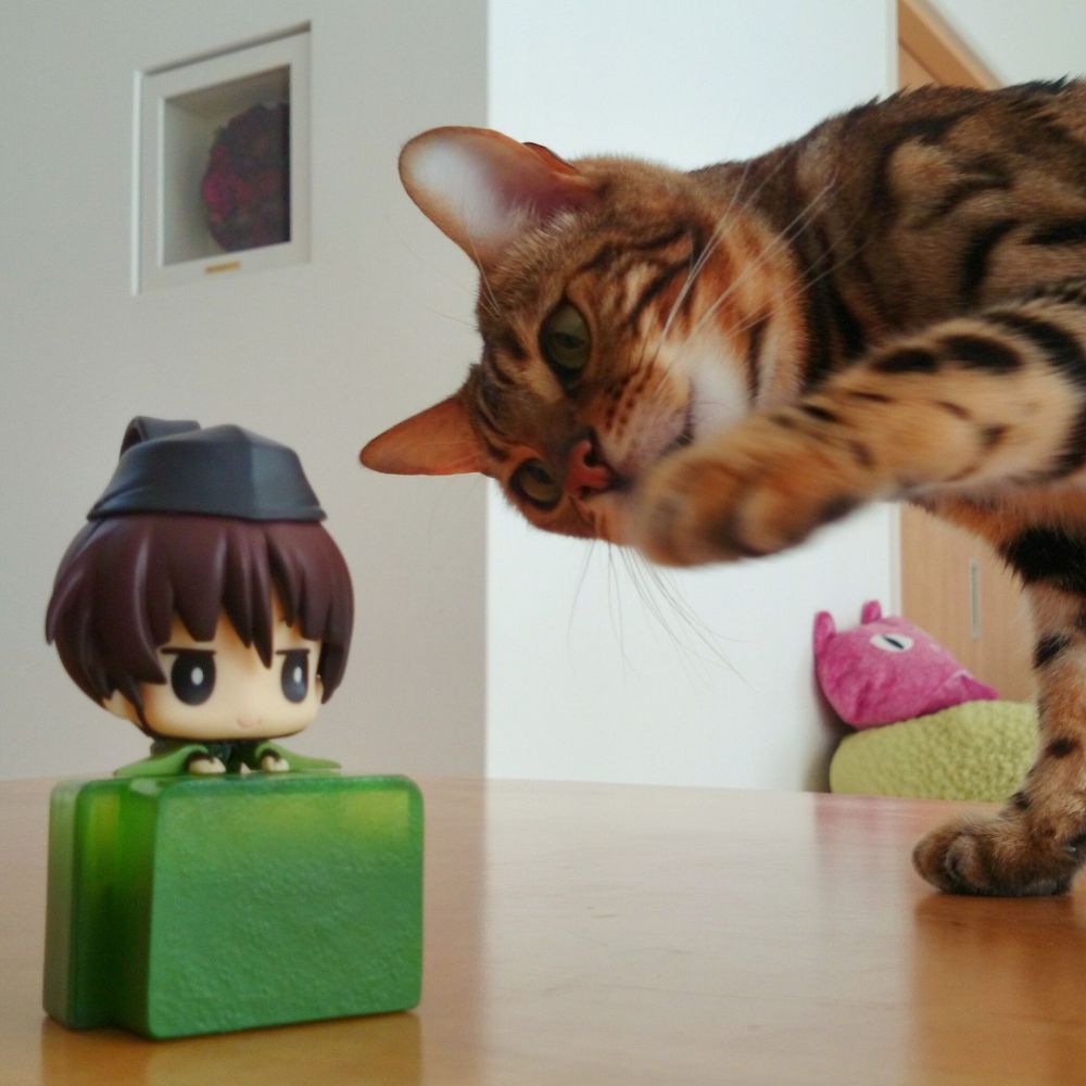 まおすけ