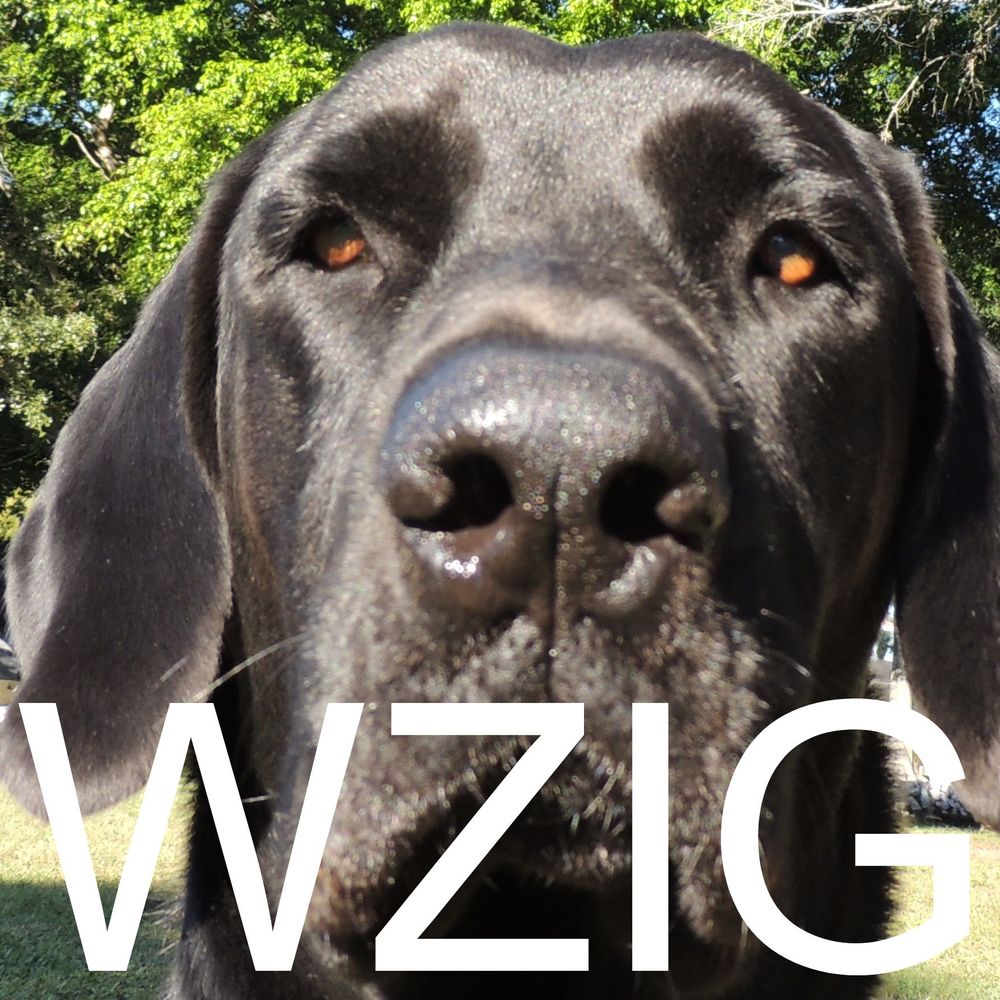 WZIG 104.1 FM - Palm Harbor Florida - Extreme Variety