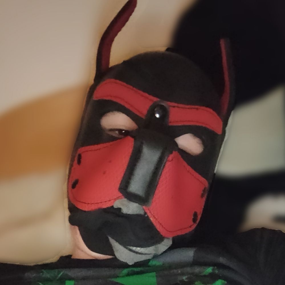SubbyPupNoah