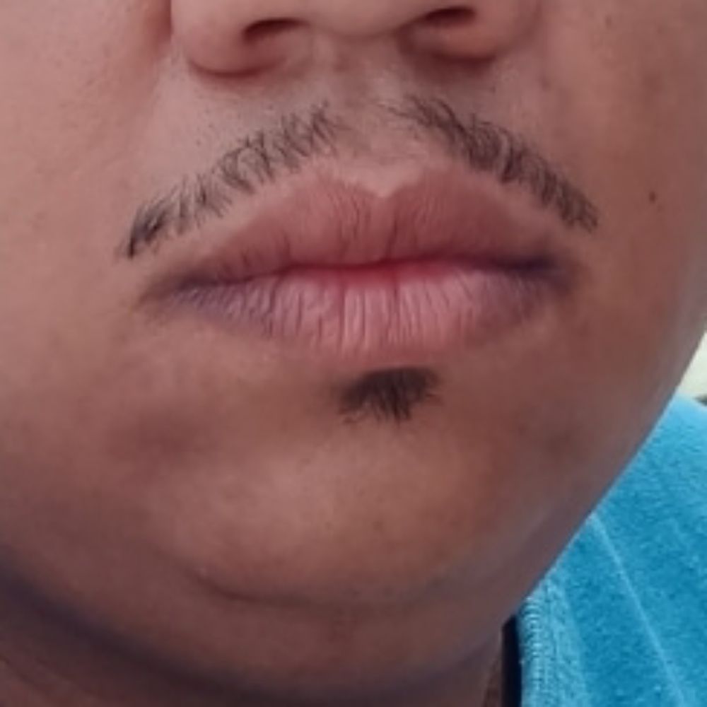 Gordin14