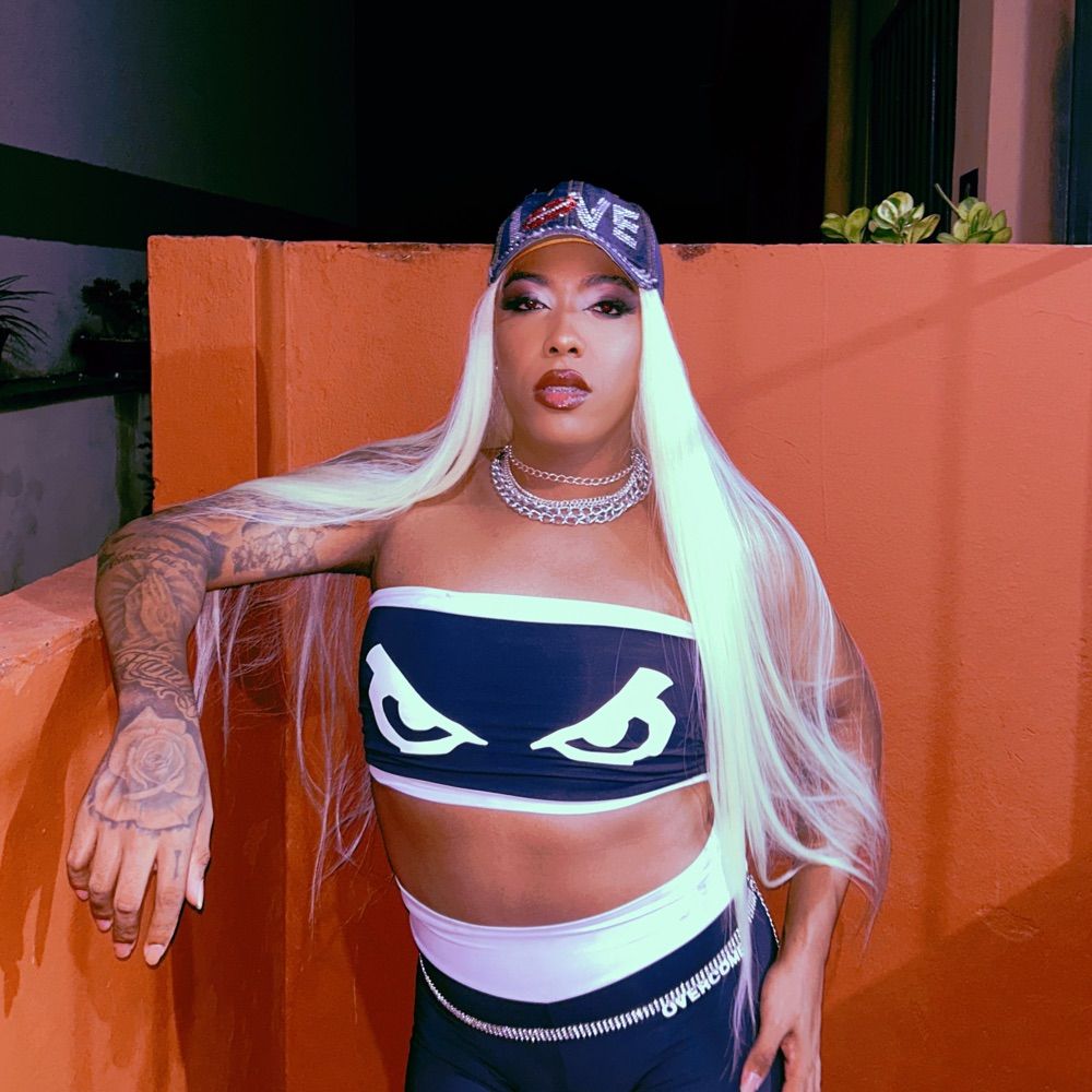 RAINHA DO MANDELÃO 🇧🇷