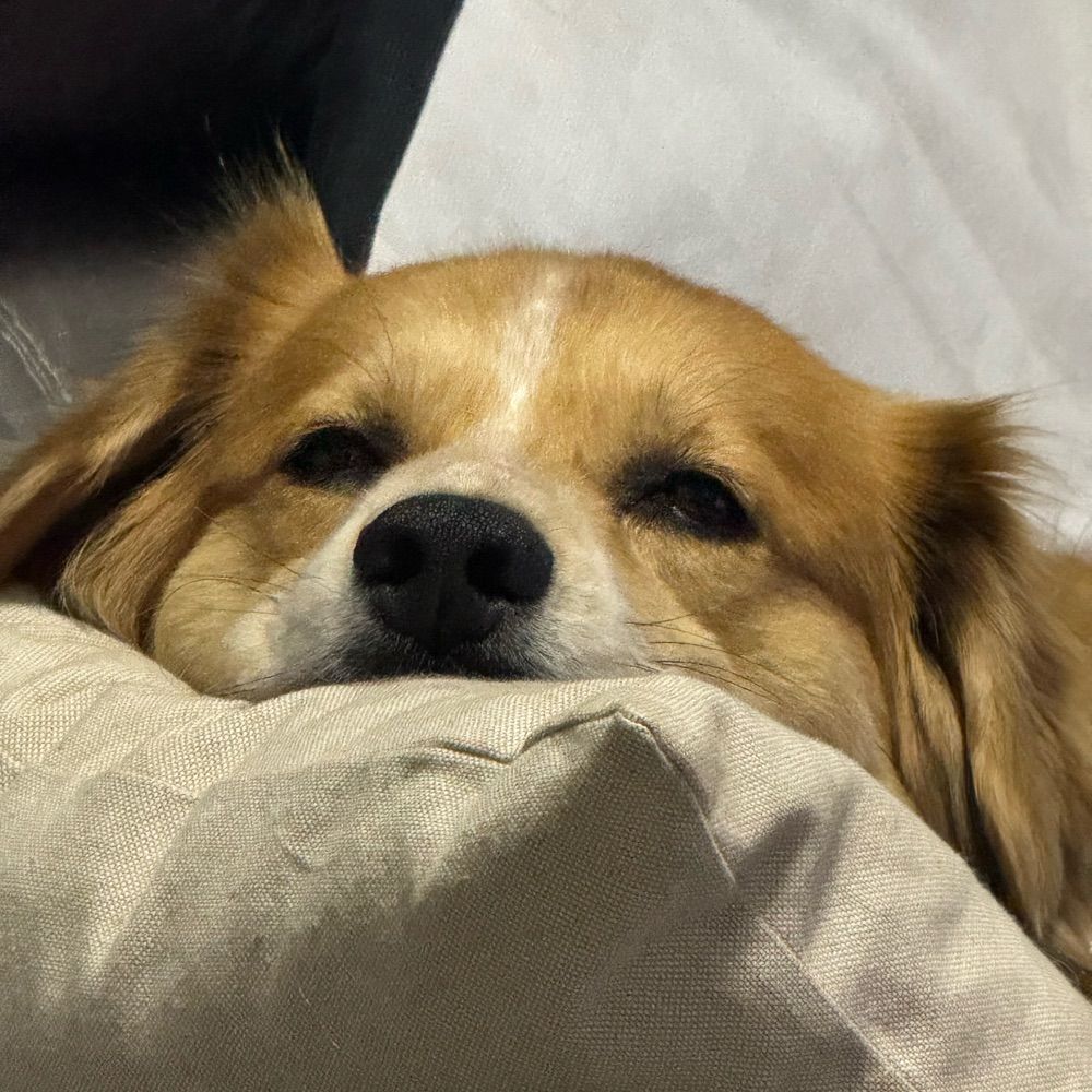 Fiona