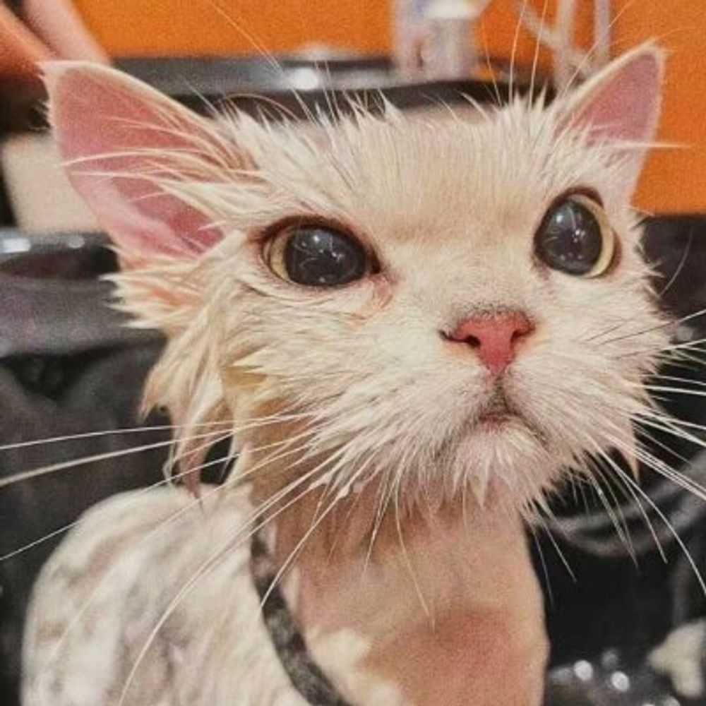 luxko