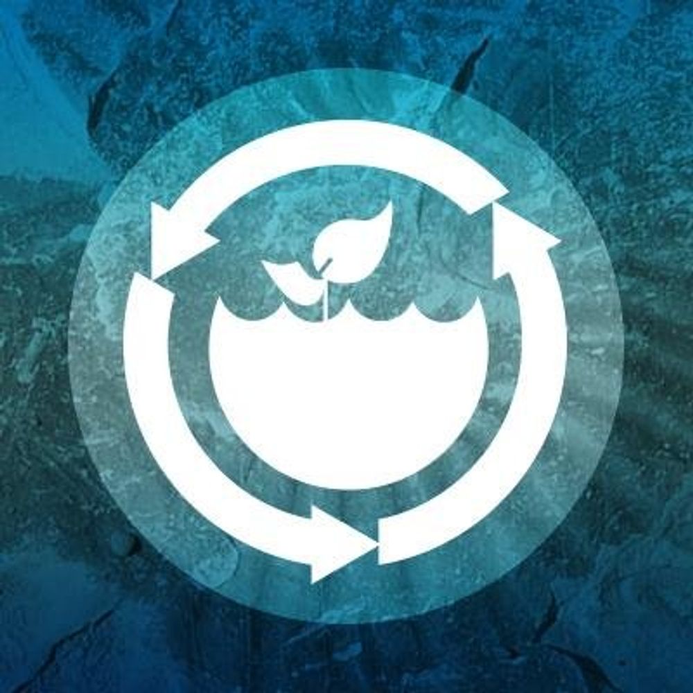Earth and Environmental Sciences University of Manchester 
