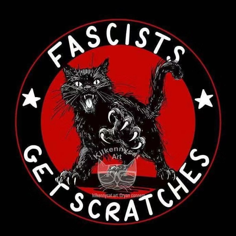 catherine71.bsky.social profile picture