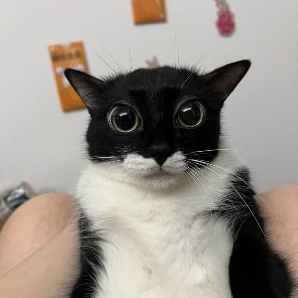grrrzobmie