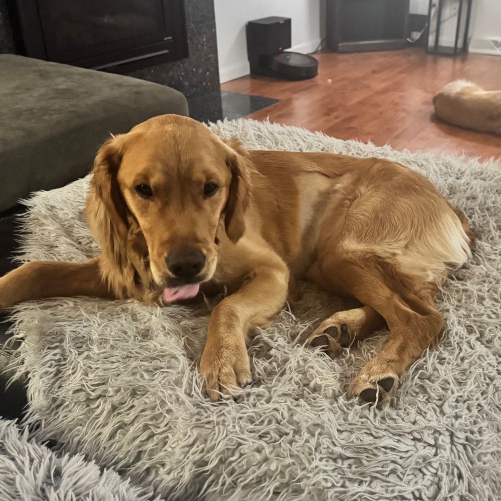 Glenwood the Golden