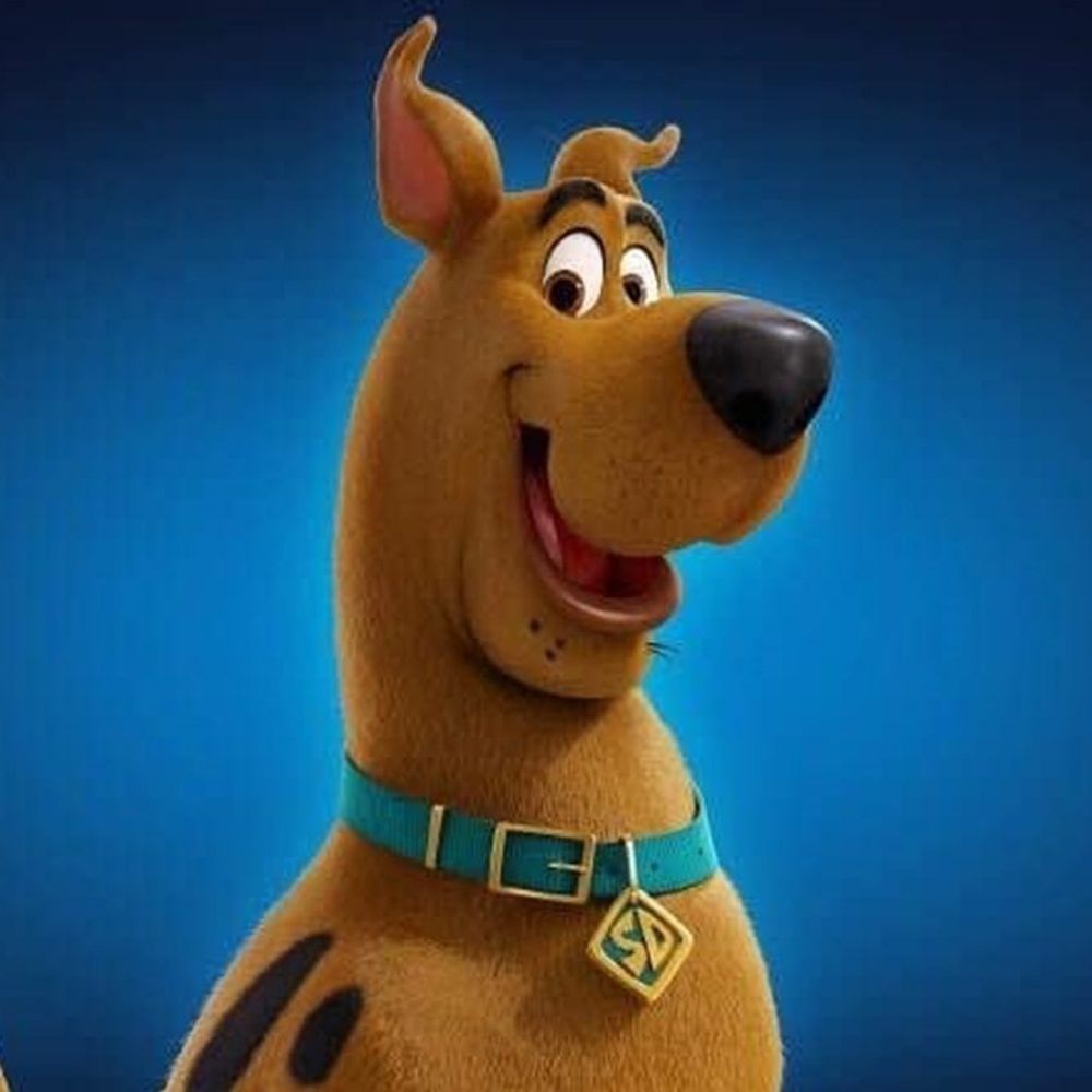 Scooby_212