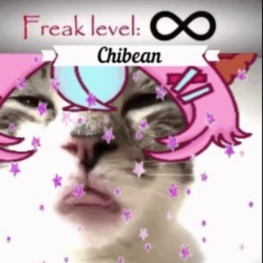 Chibeann🍪🐈