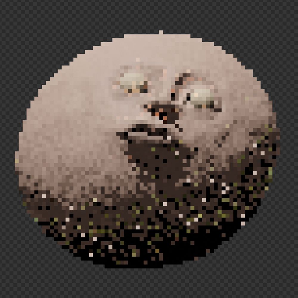 Fepopeia