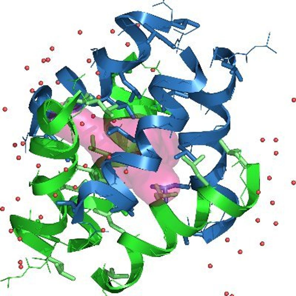Guichard-Lab