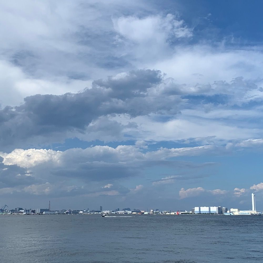 海