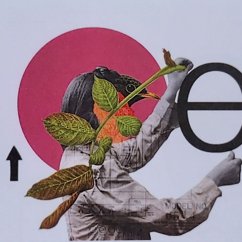 Edinburgh Collage Collective
