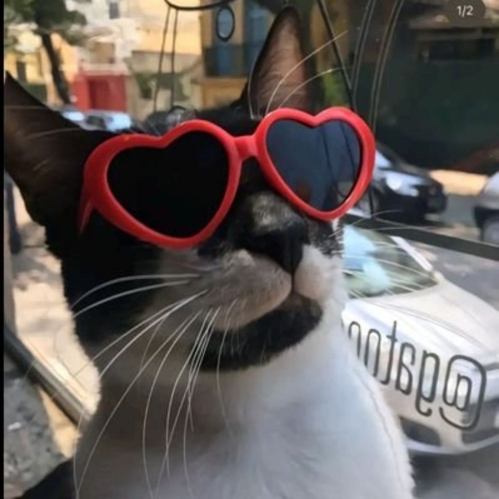 joao