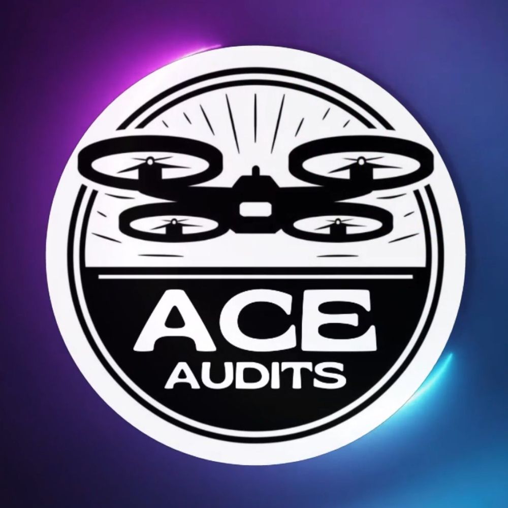 Ace Audits