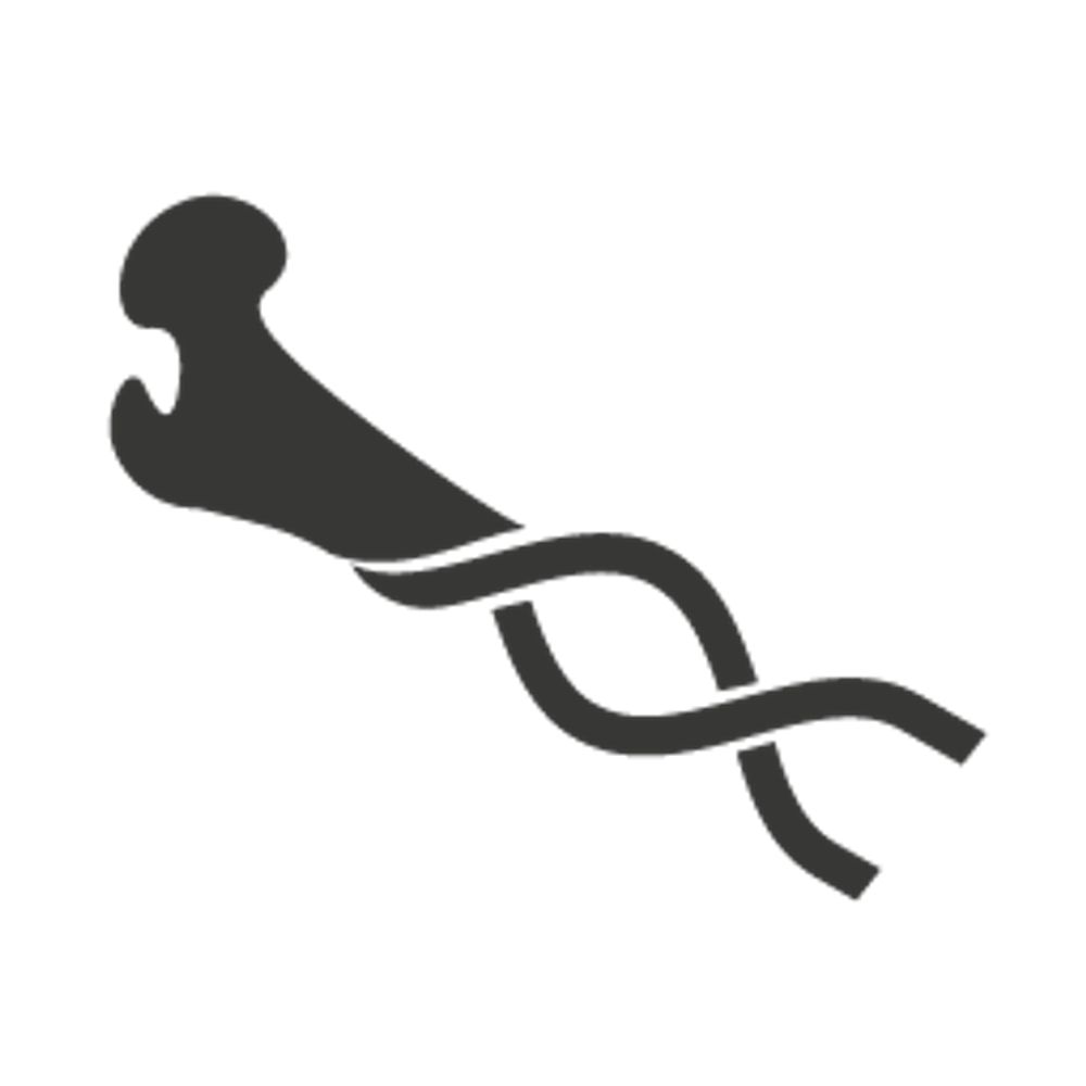 Laboratory of Paleogenetics and Conservation Genetics
