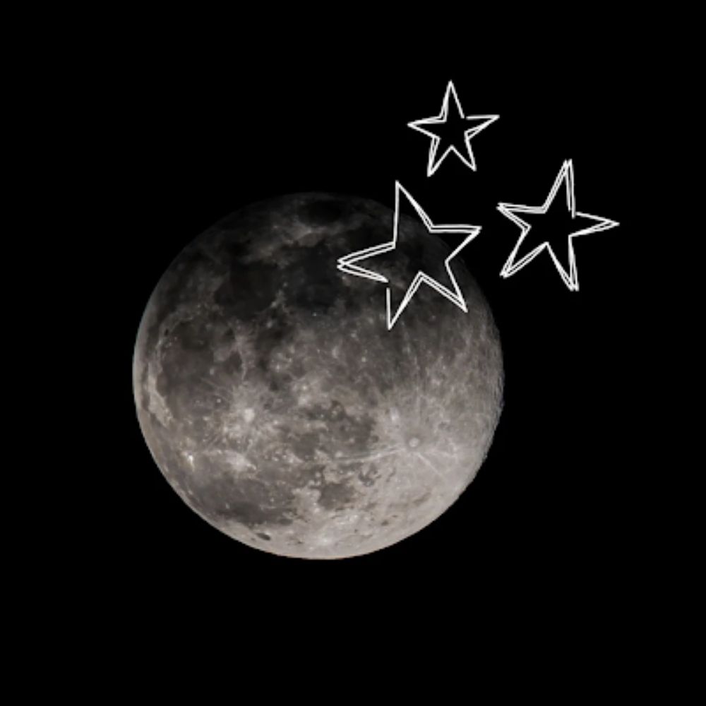 ✧.* MoonySMP *⁠.⁠✧
