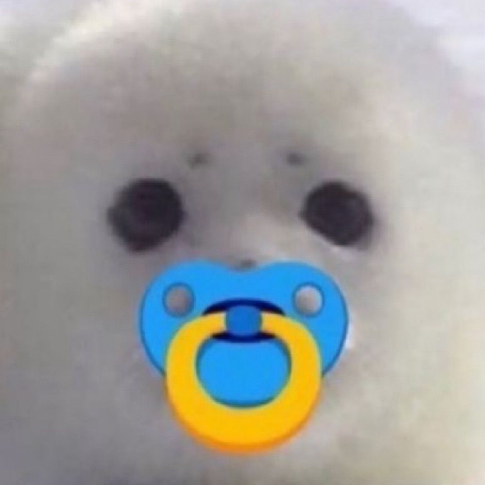 hibi 🧸