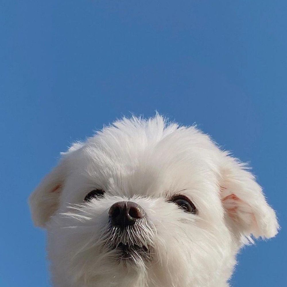 うしてんちゃん