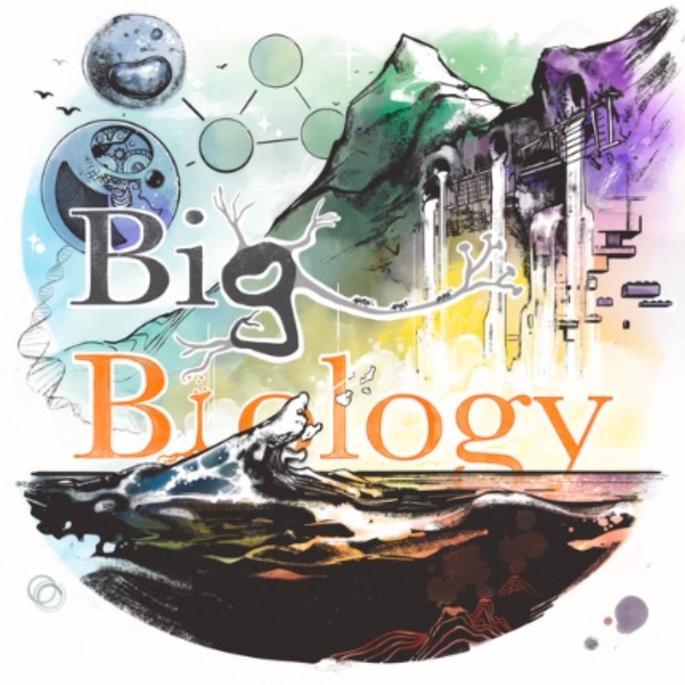 Big Biology | A Science Podcast