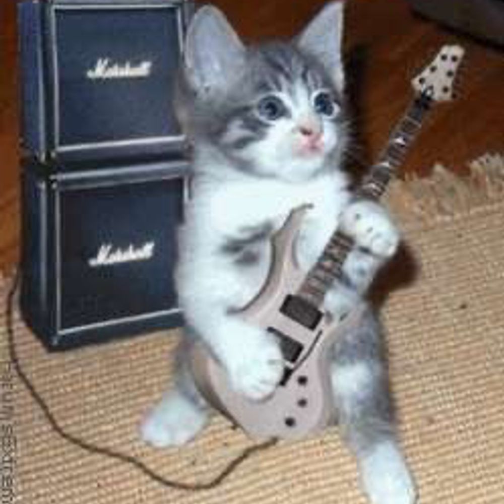 Mya_kat!(●´ϖ`●)