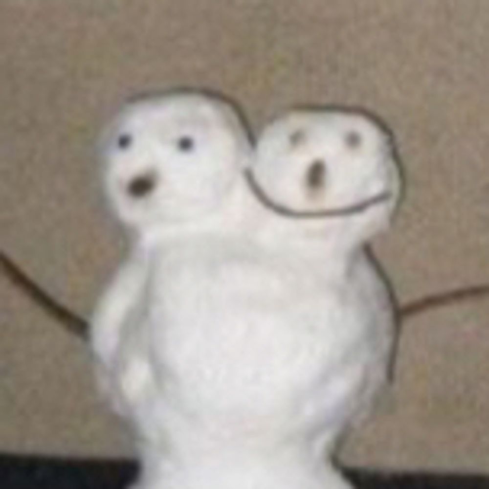 sat