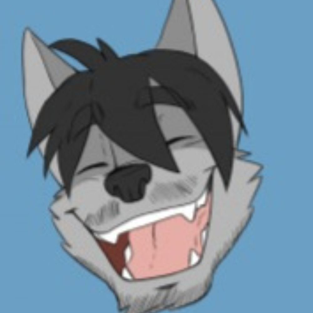 Jake Wolf's avatar