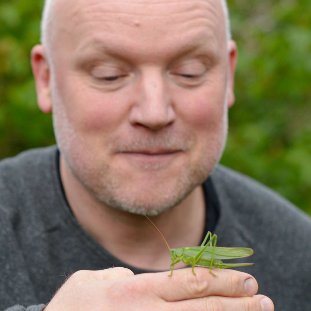 Andreas Tjernshaugen