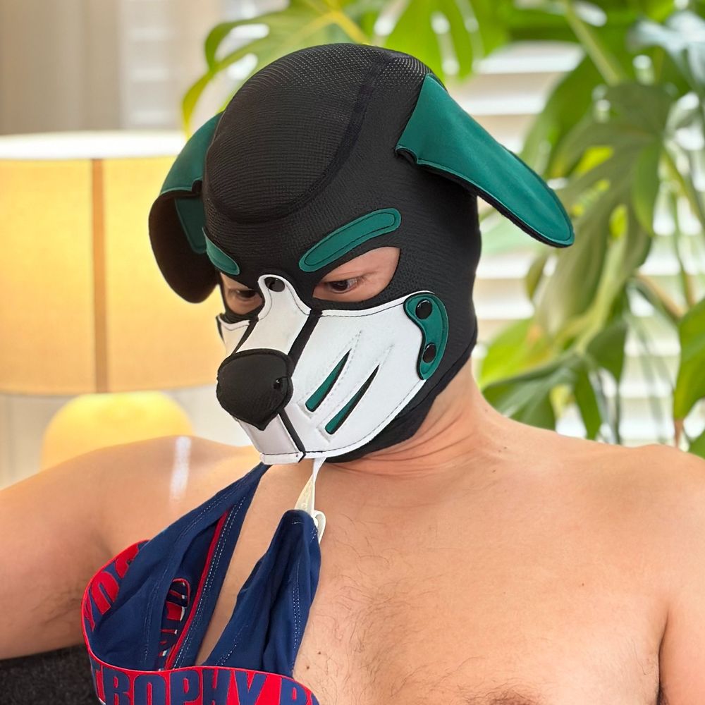 Pup Han