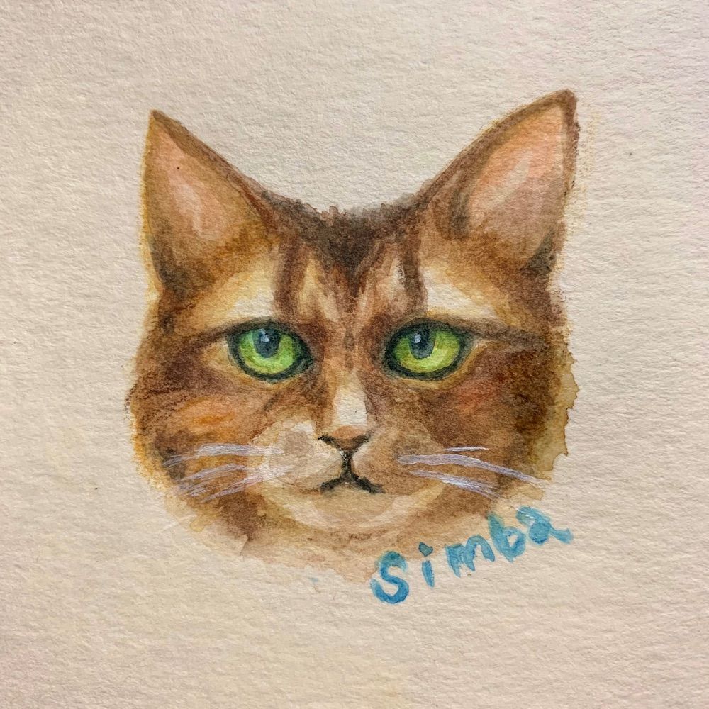 Simba8188