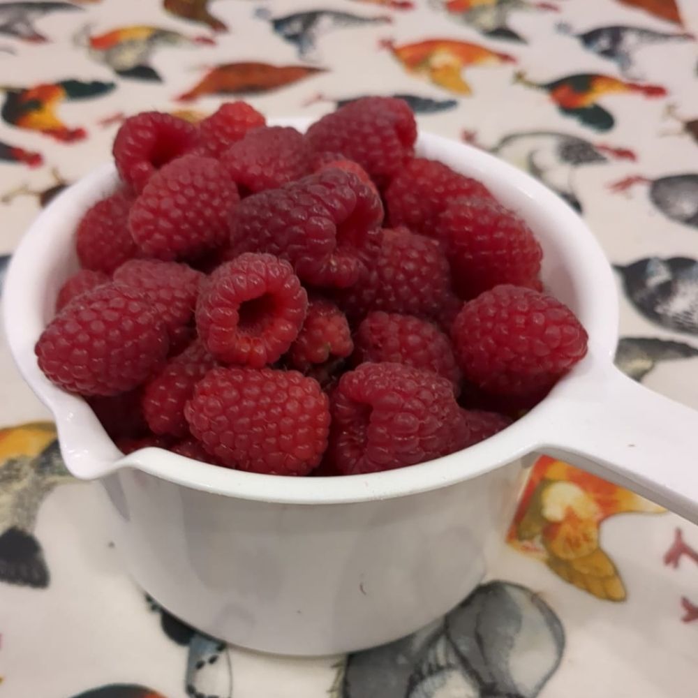 Raspberries