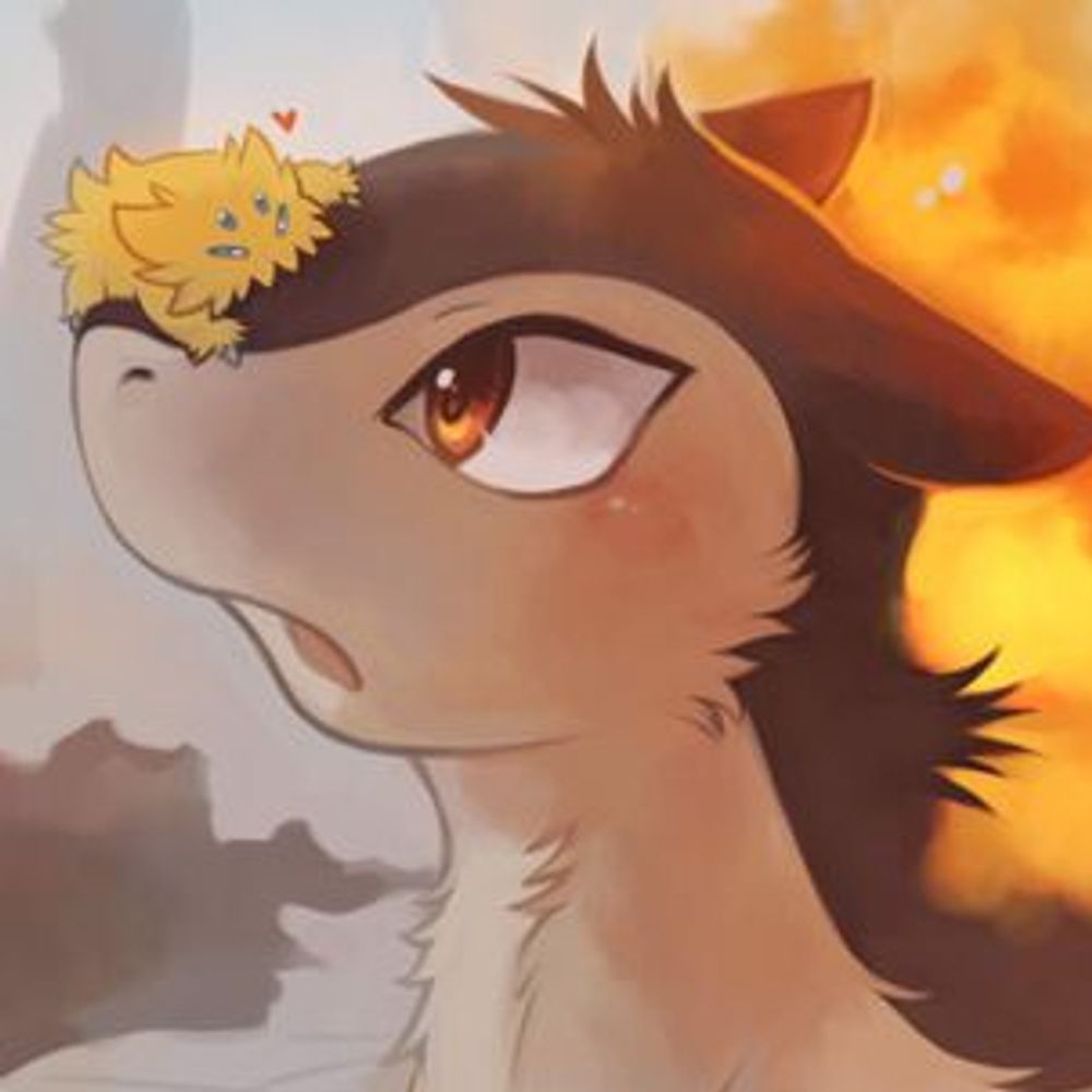 boredcrow24