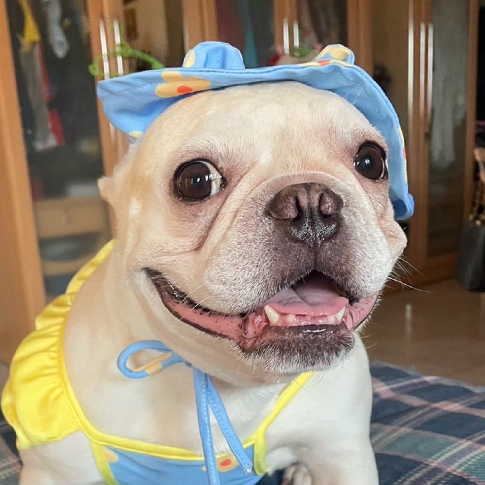 🧅 오사키 대파 ૮ ・ﻌ・ა