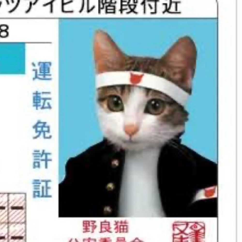 シェルバーン伯爵