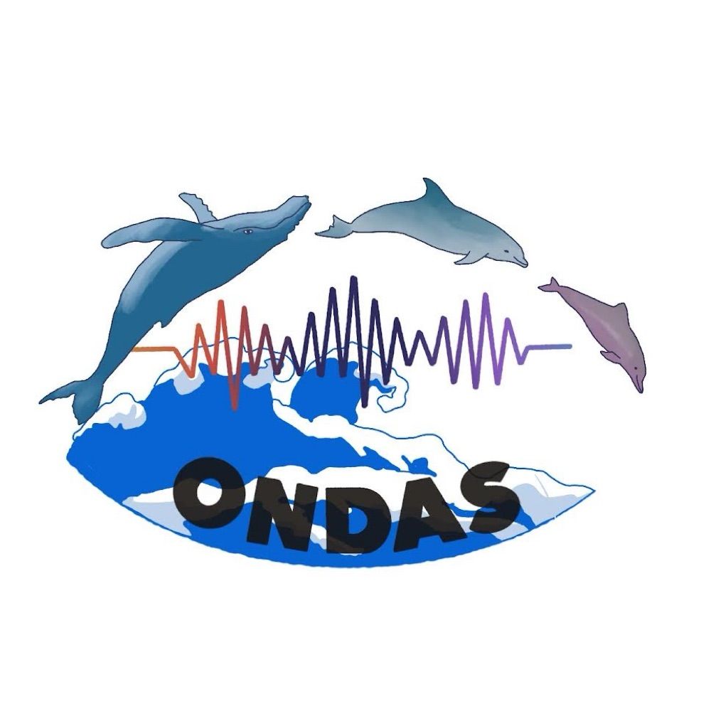 Ondas Lab